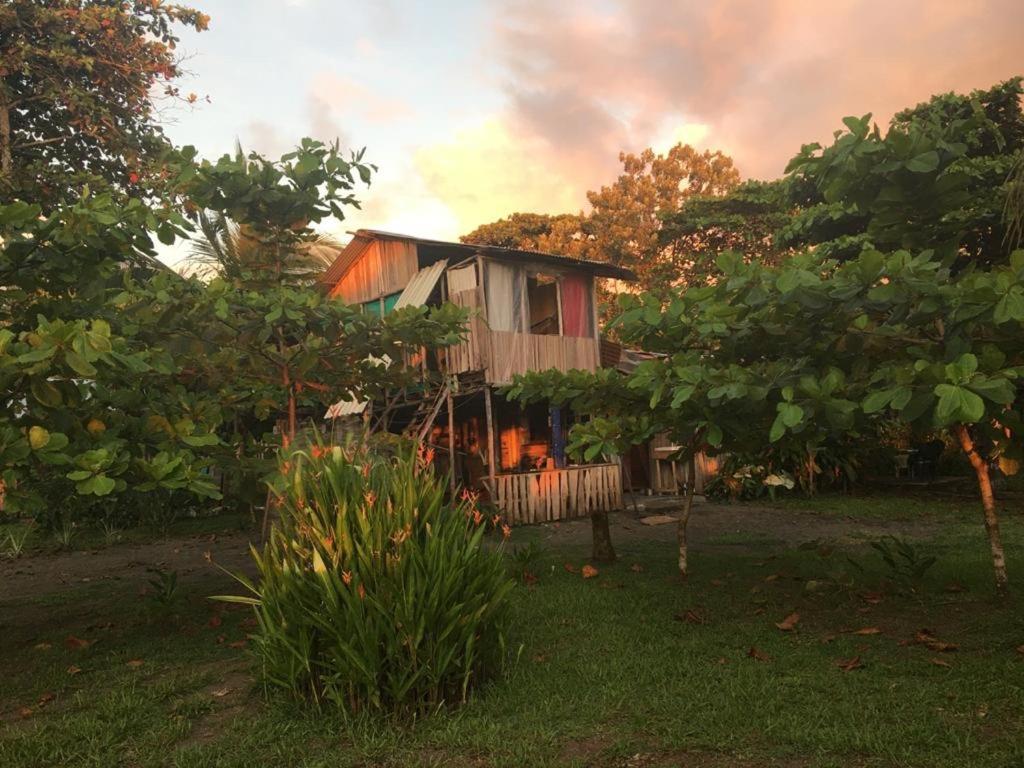 Miguel Surf Camp Hotel Quepos Kültér fotó