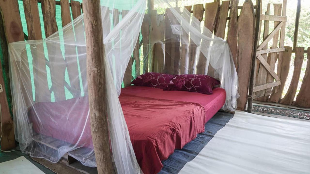 Miguel Surf Camp Hotel Quepos Kültér fotó