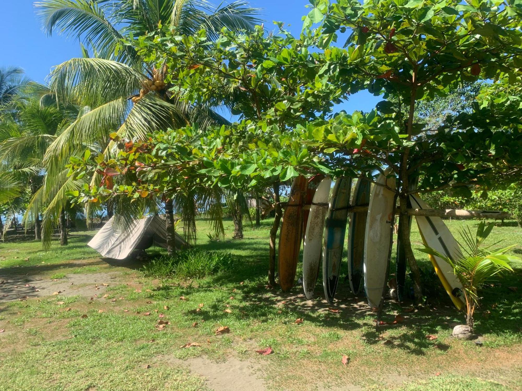 Miguel Surf Camp Hotel Quepos Kültér fotó