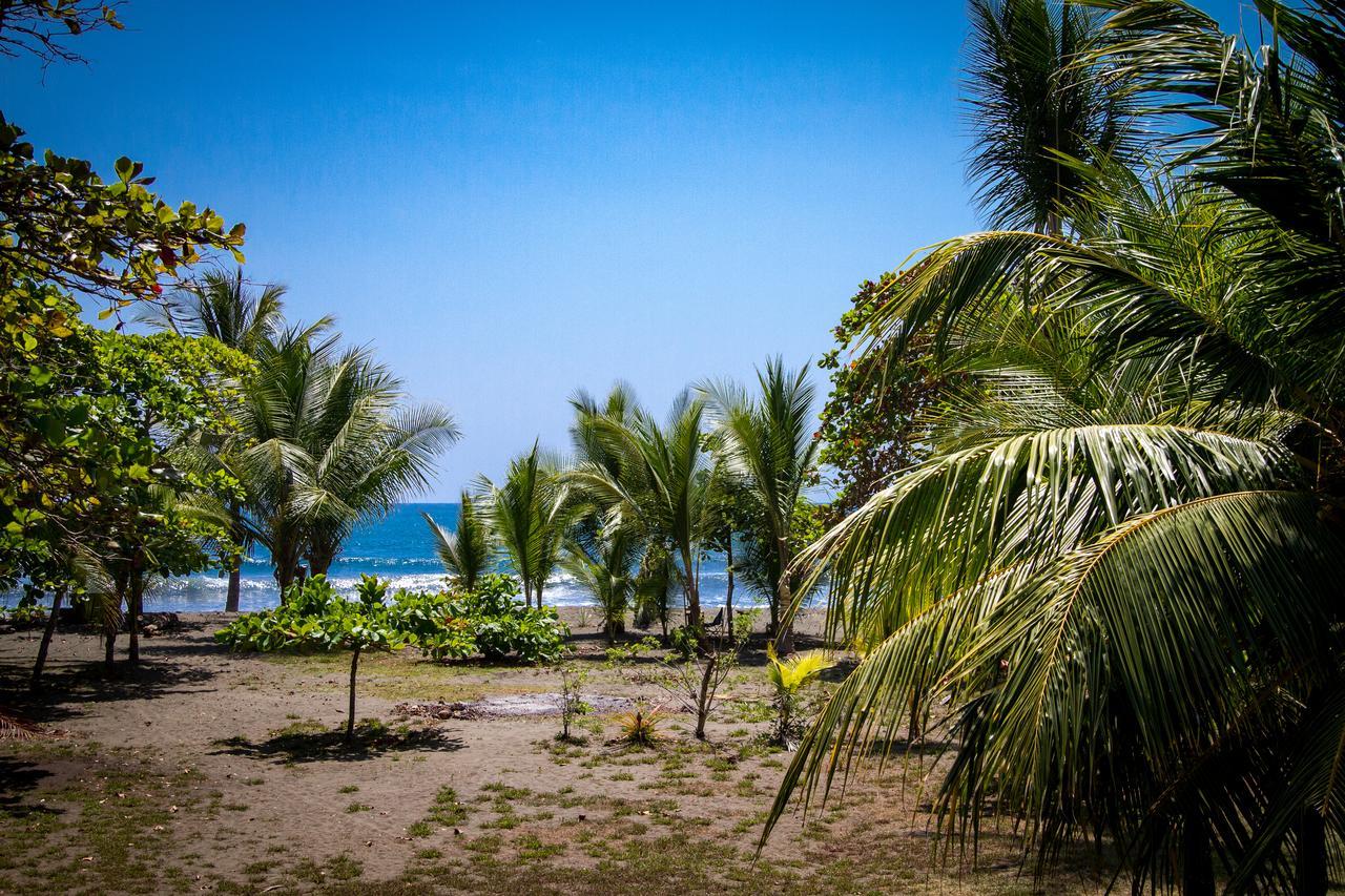 Miguel Surf Camp Hotel Quepos Kültér fotó